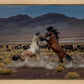 Desert Duel 5