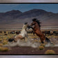 Desert Duel 5