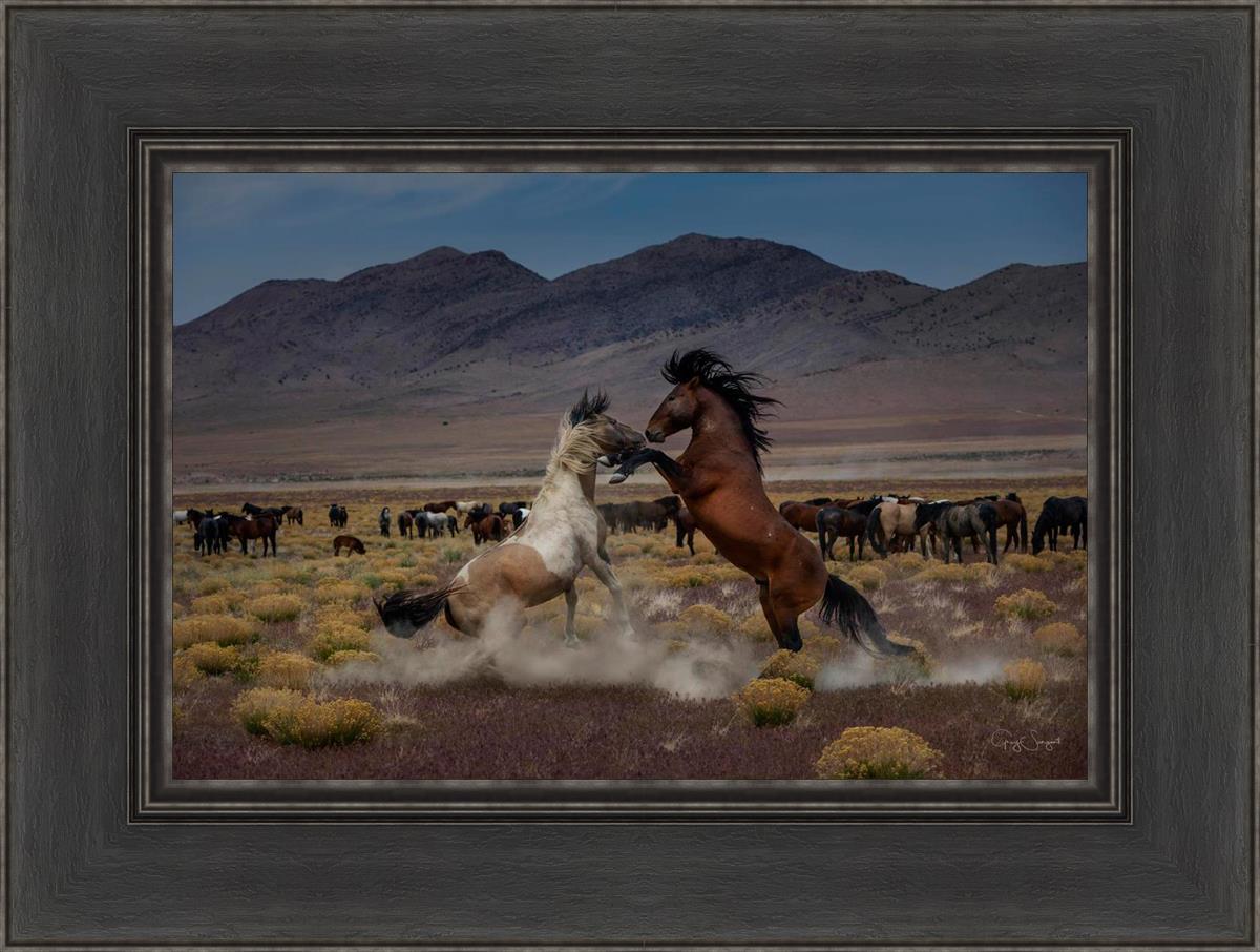 Desert Duel 5