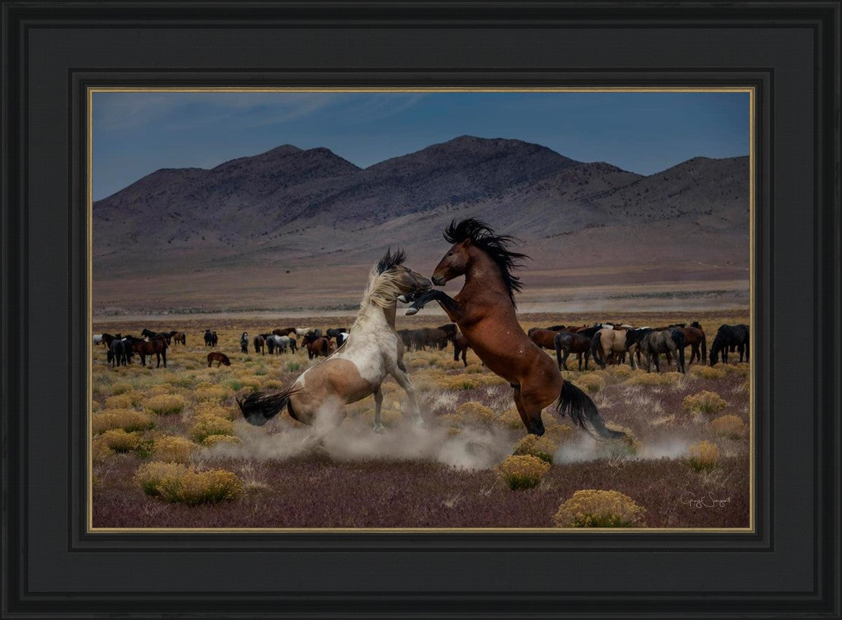 Desert Duel 5