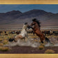 Desert Duel 5