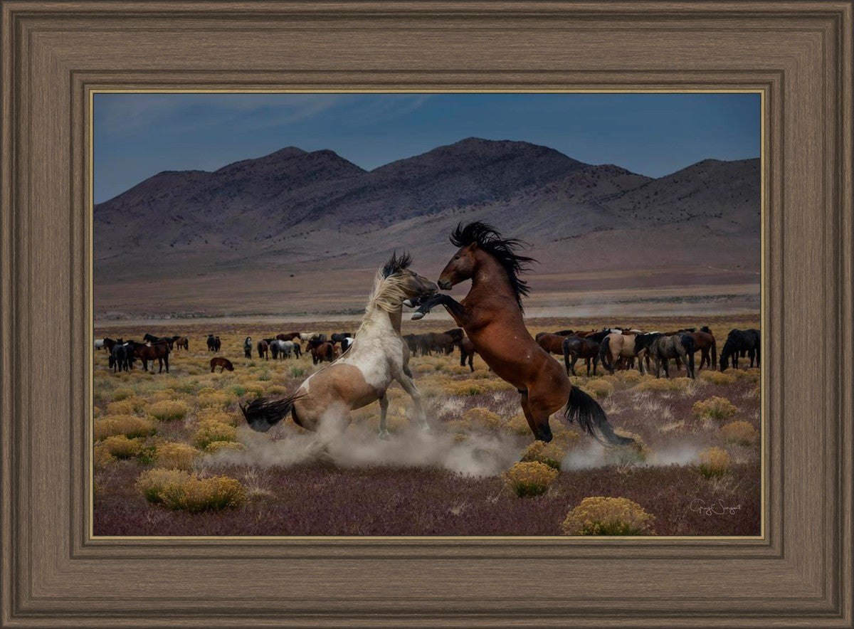 Desert Duel 5
