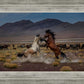 Desert Duel 5