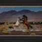 Desert Duel 5