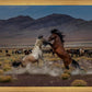 Desert Duel 5