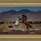 Desert Duel 5