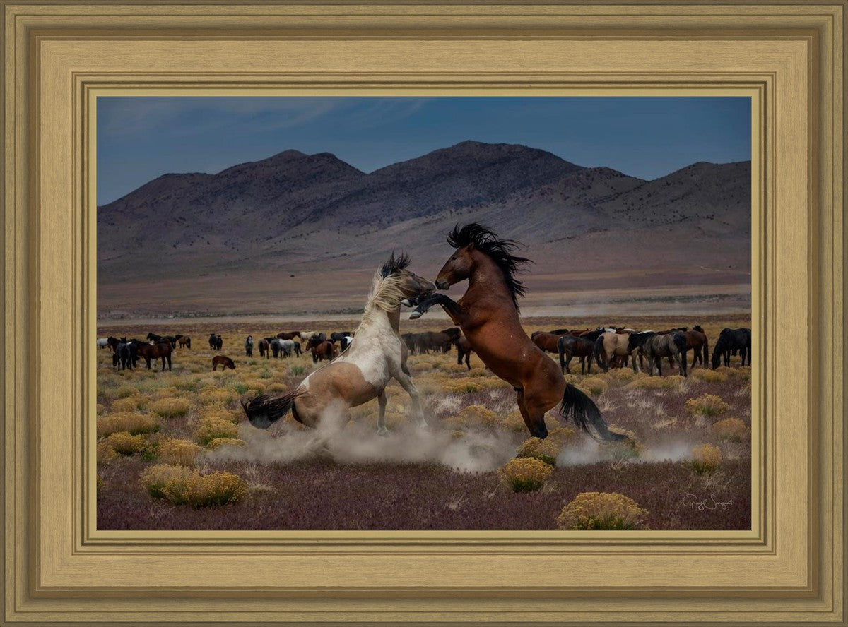 Desert Duel 5
