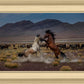 Desert Duel 5