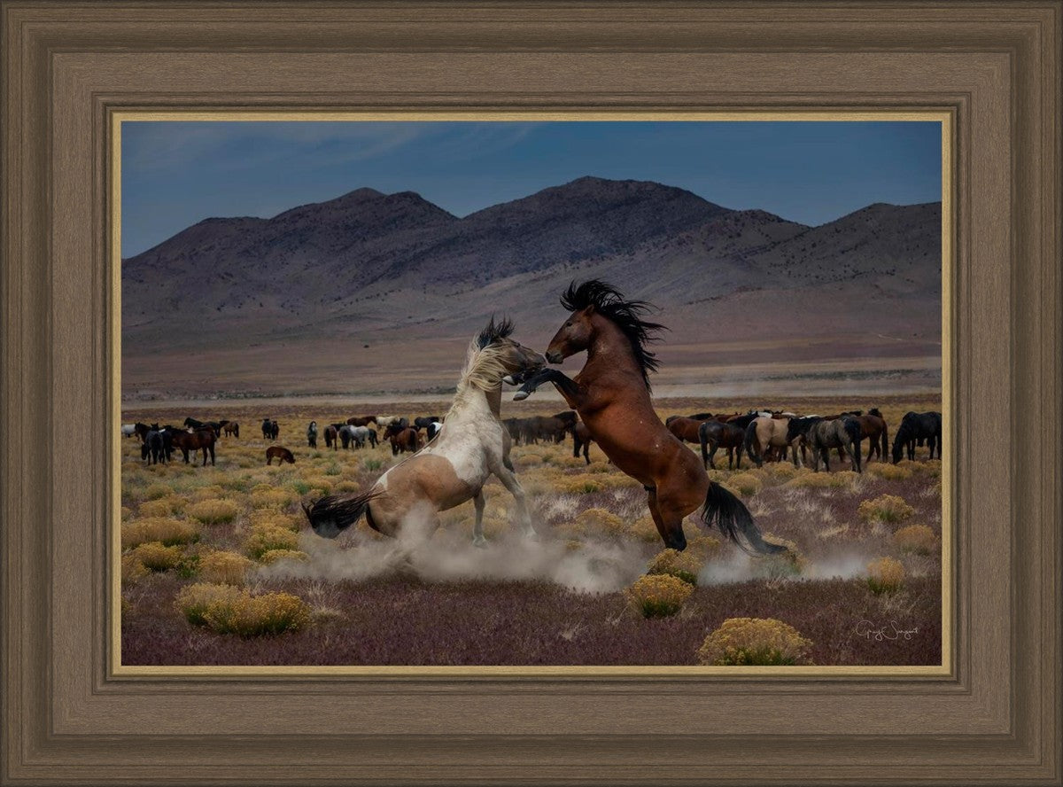 Desert Duel 5