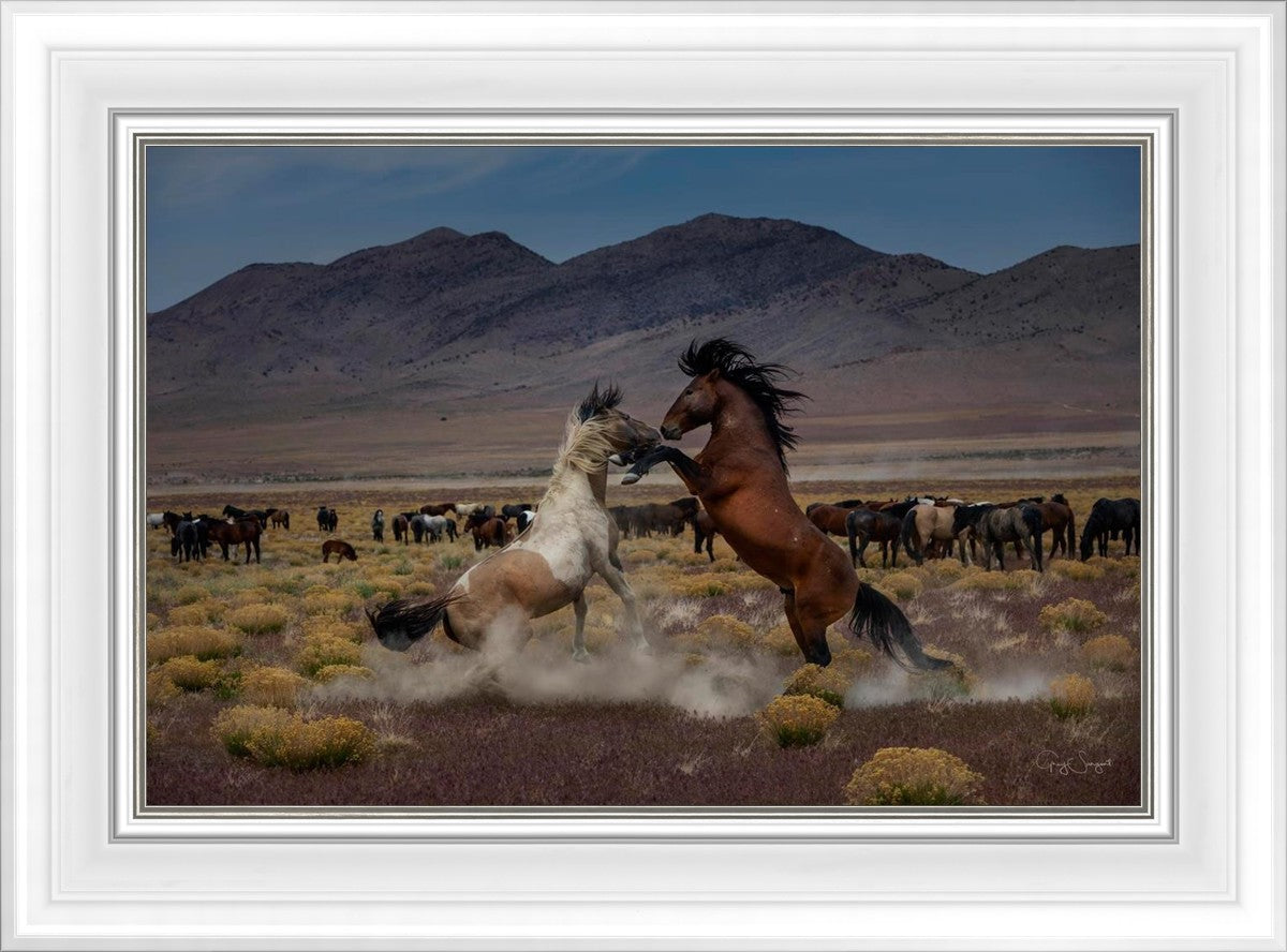 Desert Duel 5