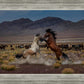 Desert Duel 5