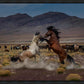 Desert Duel 5