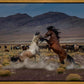 Desert Duel 5