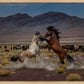 Desert Duel 5