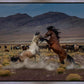Desert Duel 5