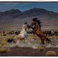 Desert Duel 5