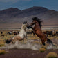 Desert Duel 5