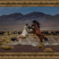 Desert Duel 5