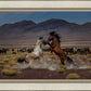 Desert Duel 5