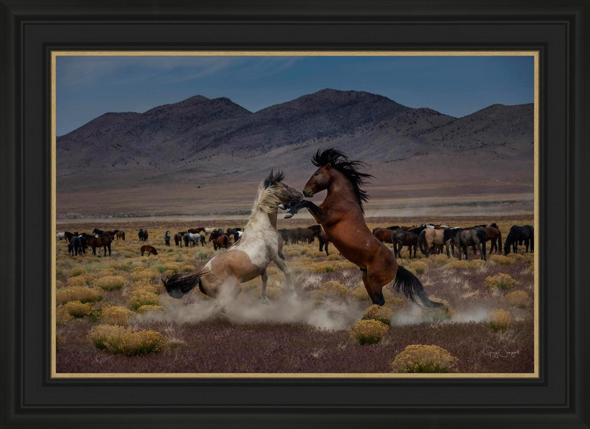 Desert Duel 5