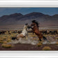 Desert Duel 5