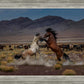 Desert Duel 5