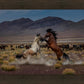 Desert Duel 5