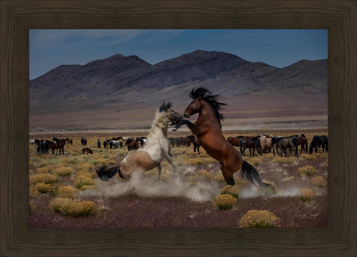 Desert Duel 5