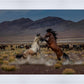Desert Duel 5