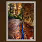 Zions Fissure