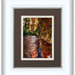 Zions Fissure
