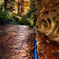 Zions Fissure