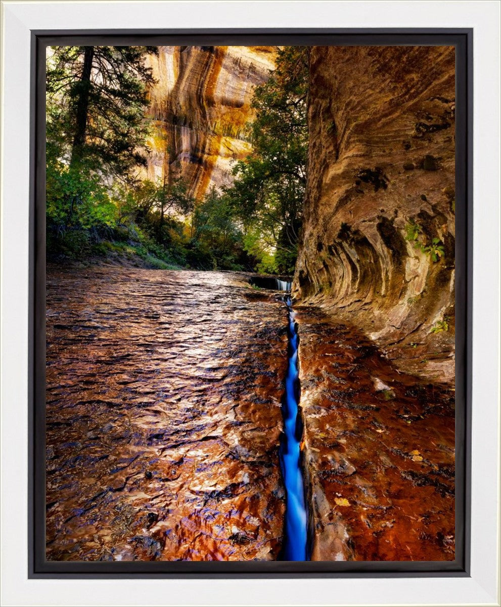 Zions Fissure Gallery Wrap