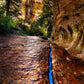 Zions Fissure