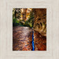 Zions Fissure