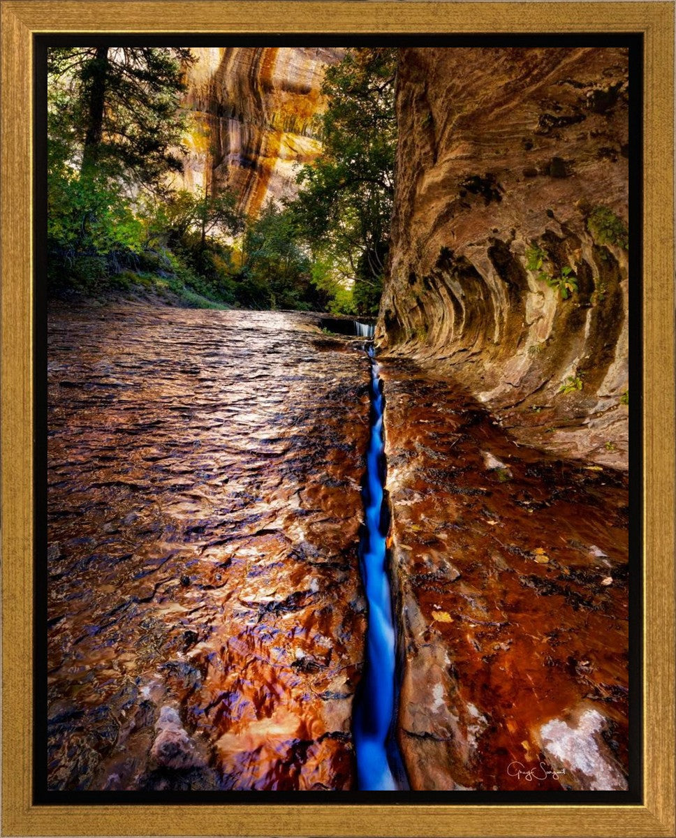 Zions Fissure Gallery Wrap