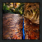 Zions Fissure