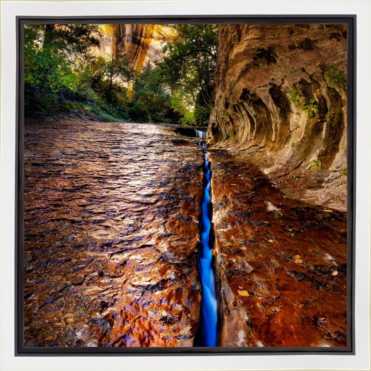 Zions Fissure Gallery Wrap