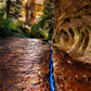 Zions Fissure
