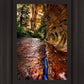 Zions Fissure
