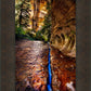 Zions Fissure