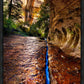 Zions Fissure