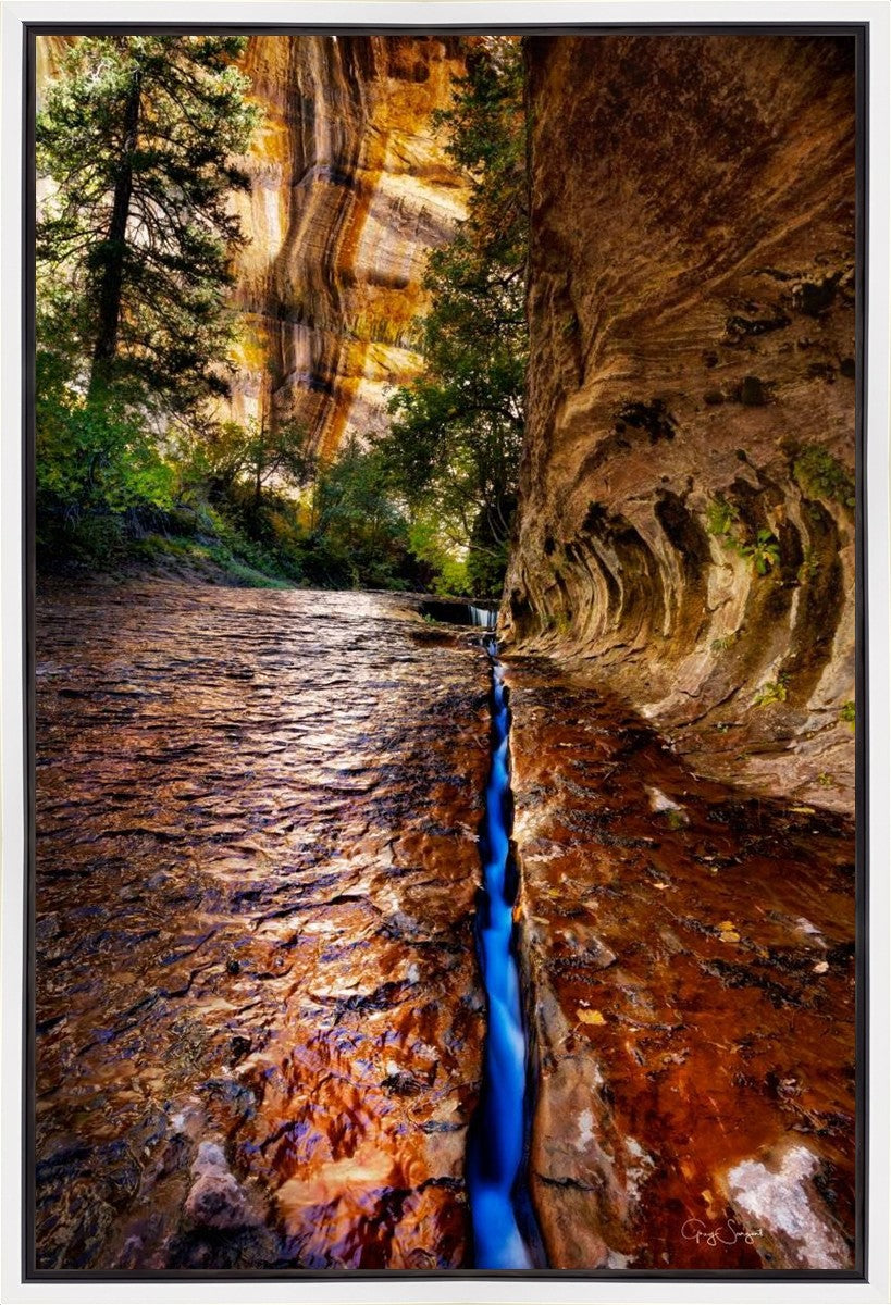 Zions Fissure Gallery Wrap