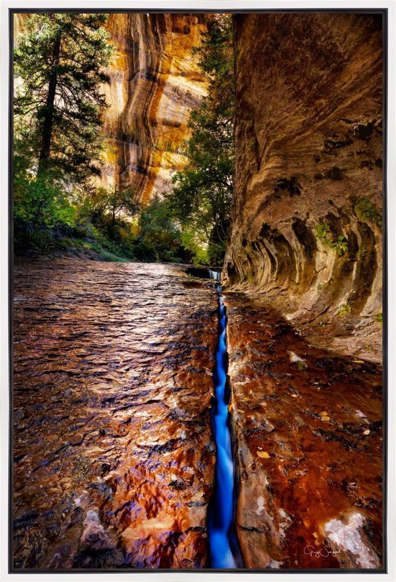 Zions Fissure Gallery Wrap