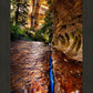 Zions Fissure