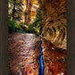 Zions Fissure
