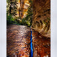 Zions Fissure