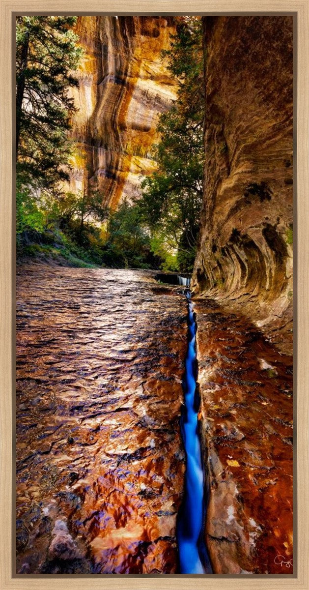 Zions Fissure Gallery Wrap