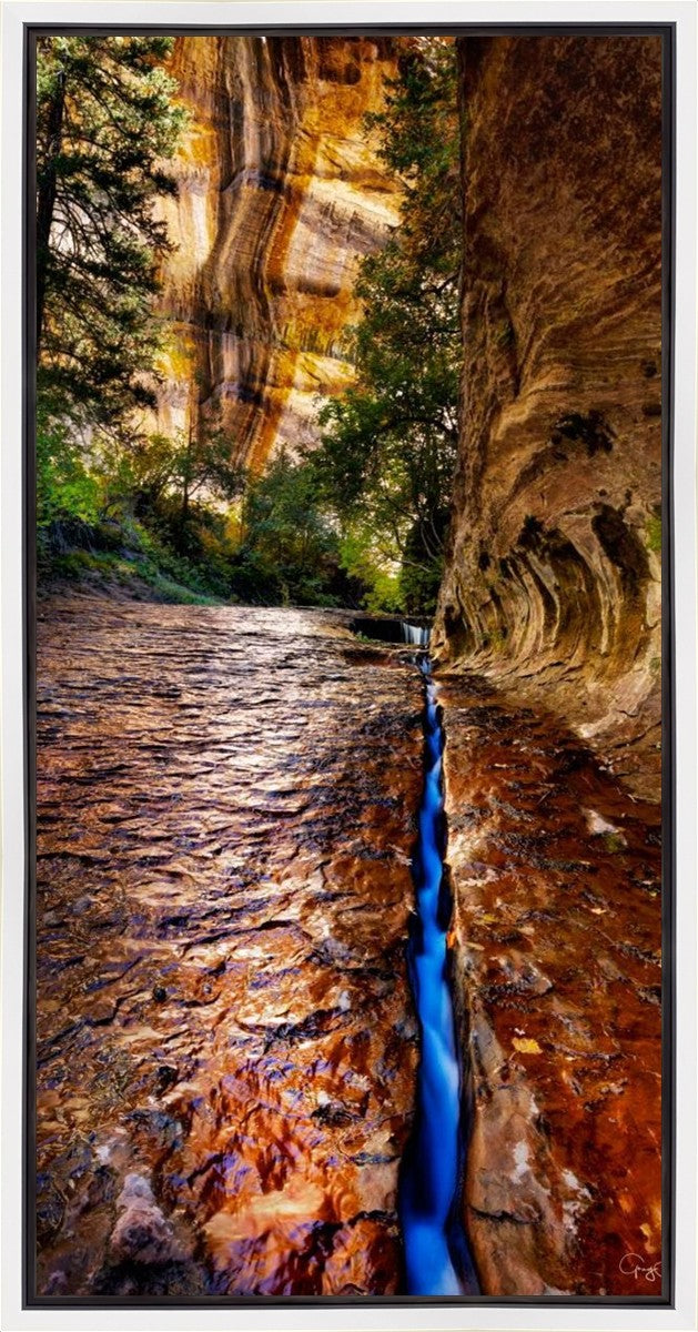 Zions Fissure Gallery Wrap