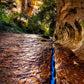 Zions Fissure